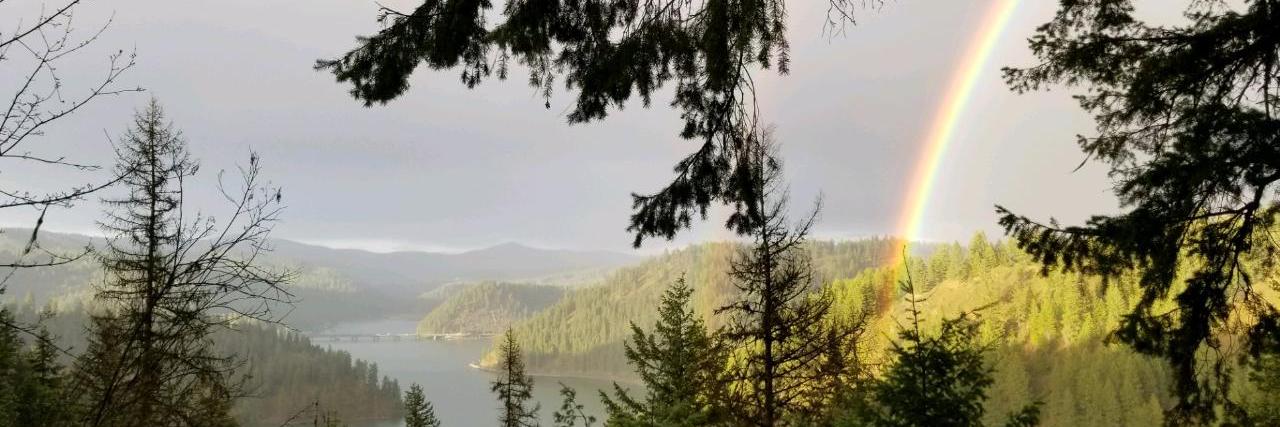 lisaWITTYmorris's profile banner image
