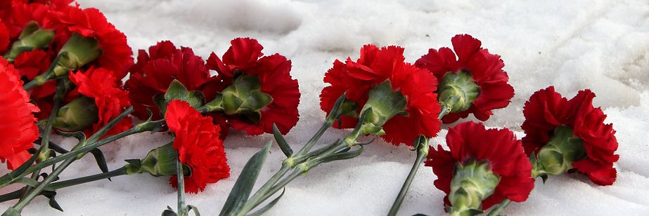 Read Something (she/her) banner