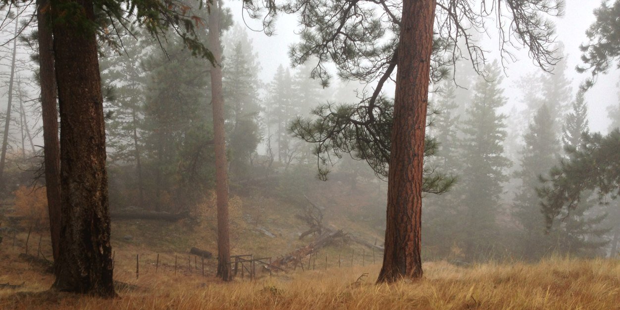 averagedickson's profile banner image