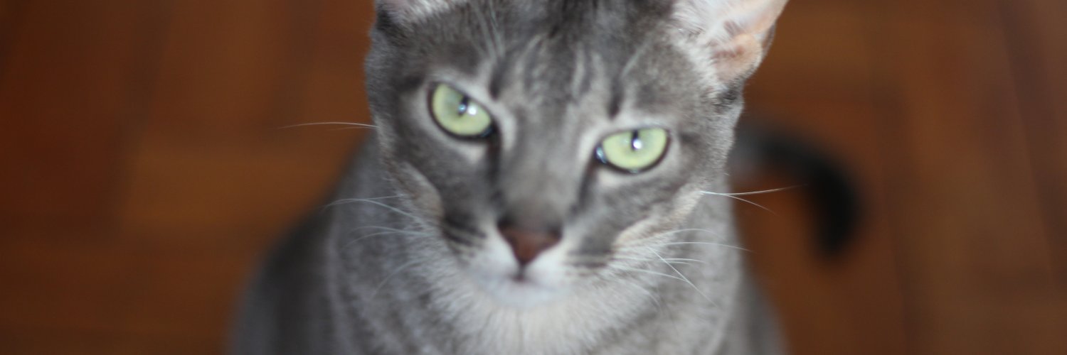 flaalves's profile banner image