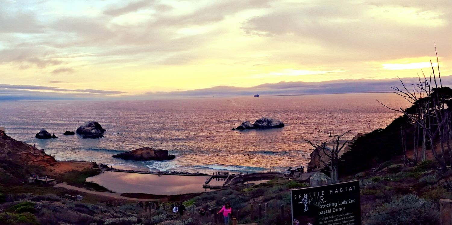 Calamari Jones banner