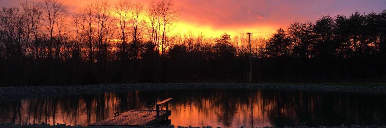 Kandysides's profile banner image