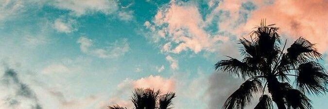 Paopm22's profile banner image