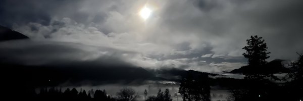 MylesDaley Profile Banner