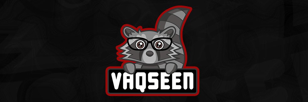 VAQSeeN's profile banner image