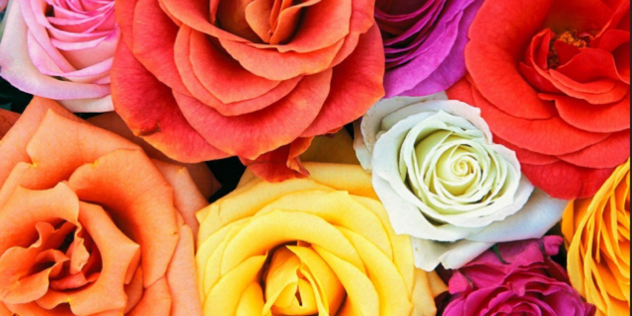 linglinglingy3's profile banner image