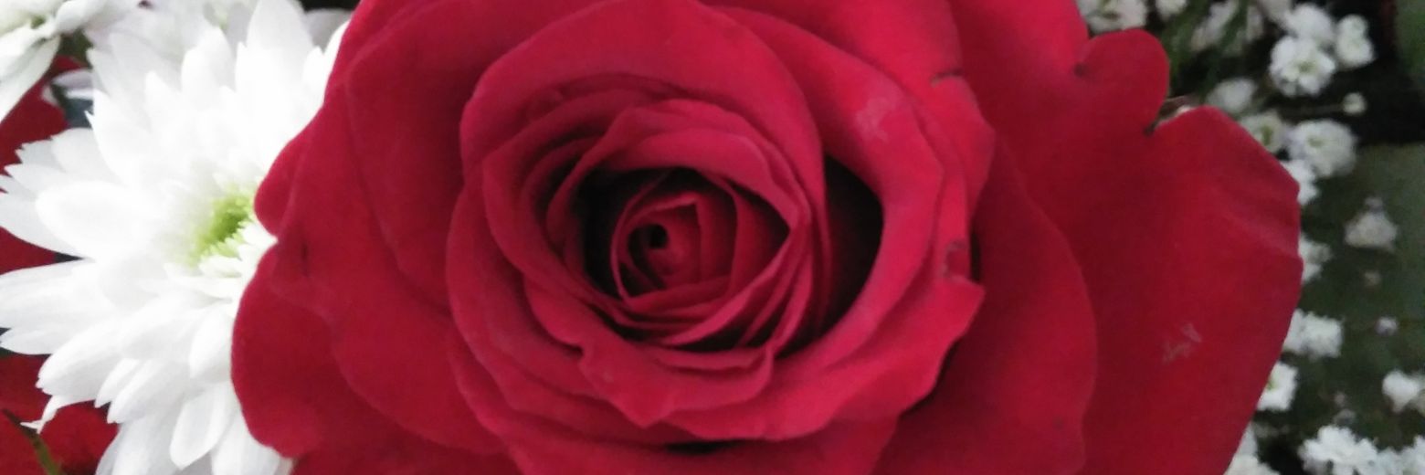 LeuqaR8's profile banner image