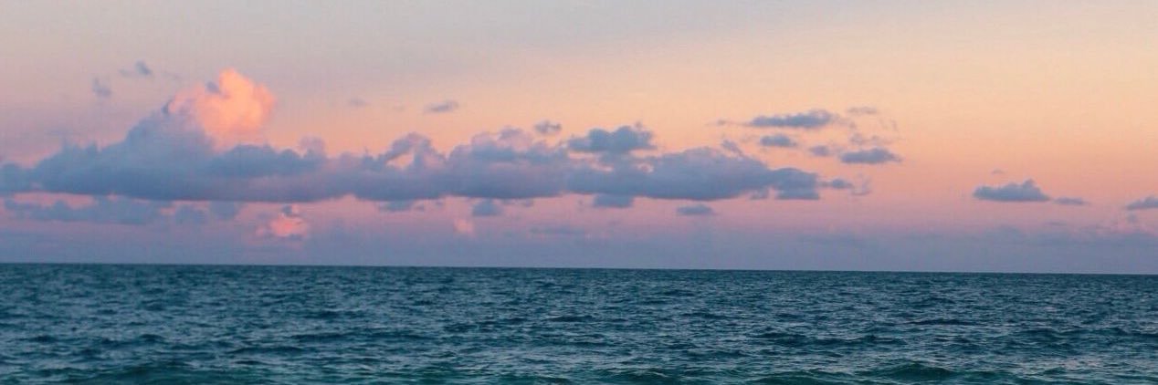 Araclaudia's profile banner image