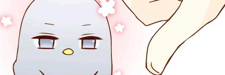 mayuchihiro's profile banner image