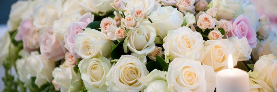 LadyBugFlorist's profile banner image