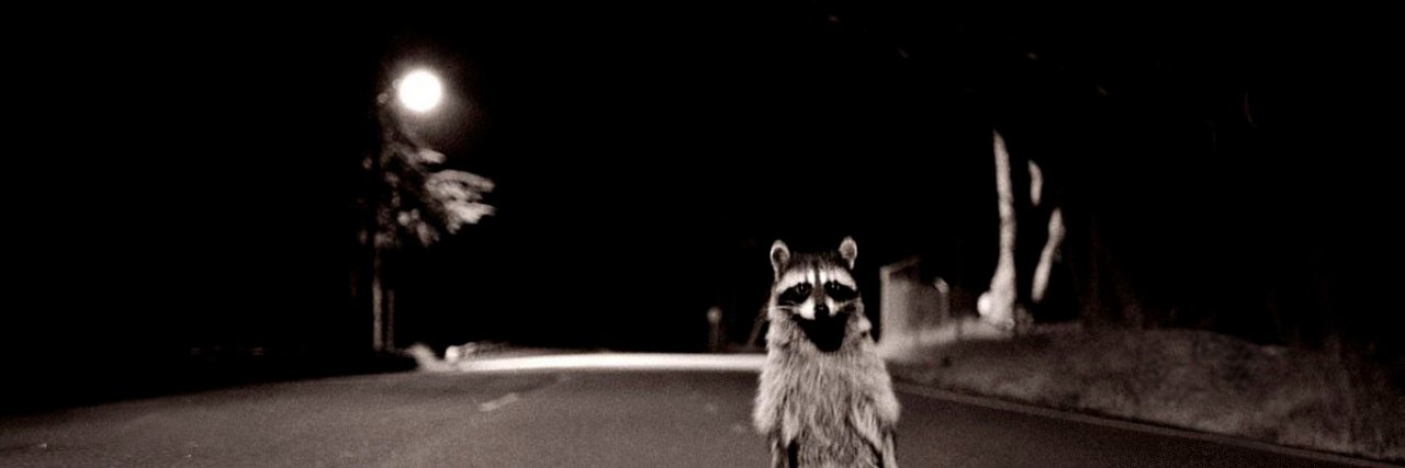 DavidSJV's profile banner image