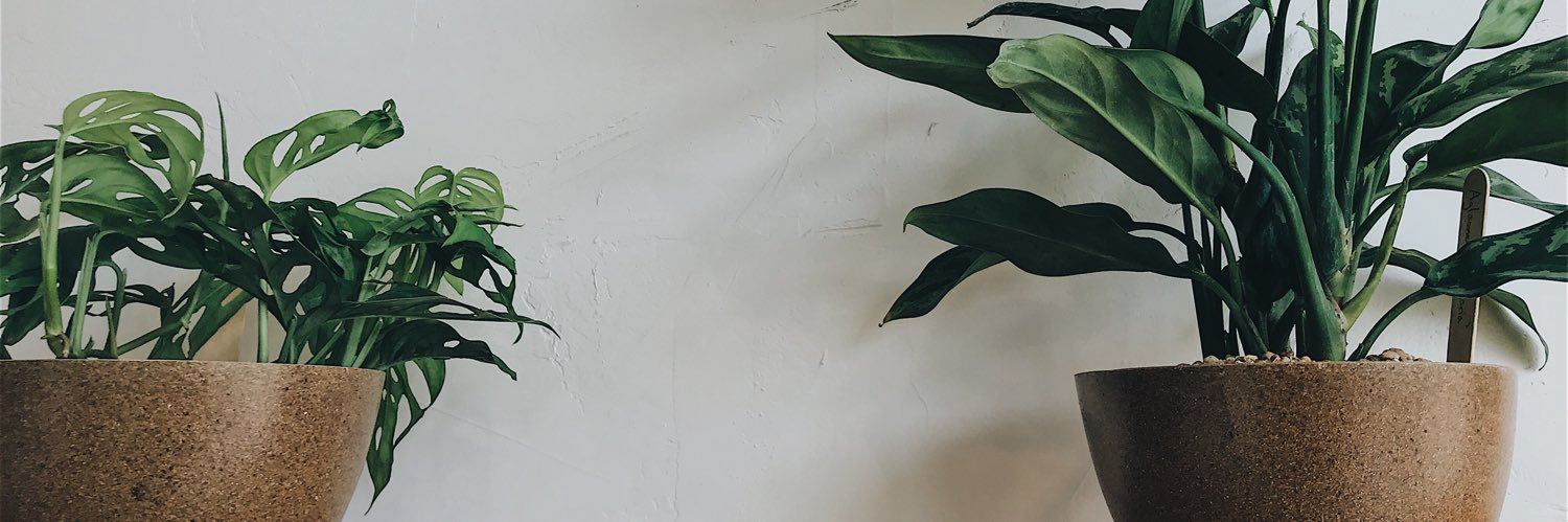 bpc2893's profile banner image
