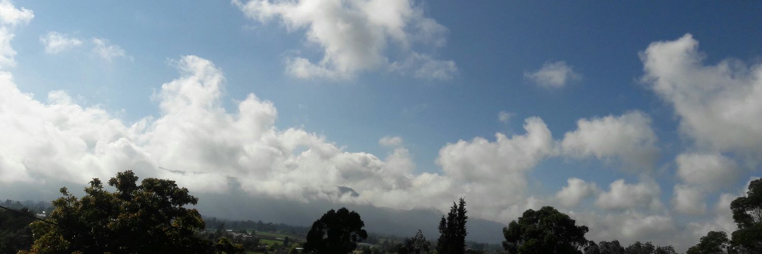 iDavidocampo's profile banner image
