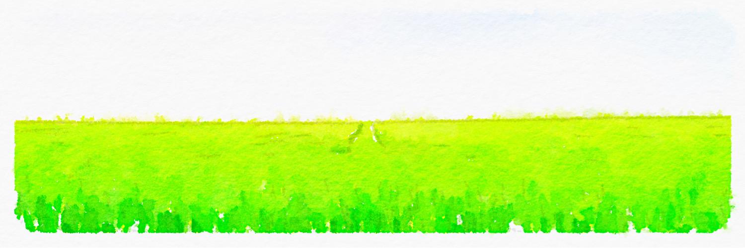 danik3000's profile banner image