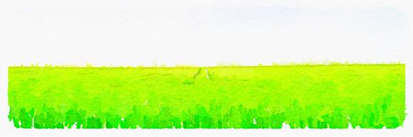 danik3000 Profile Banner