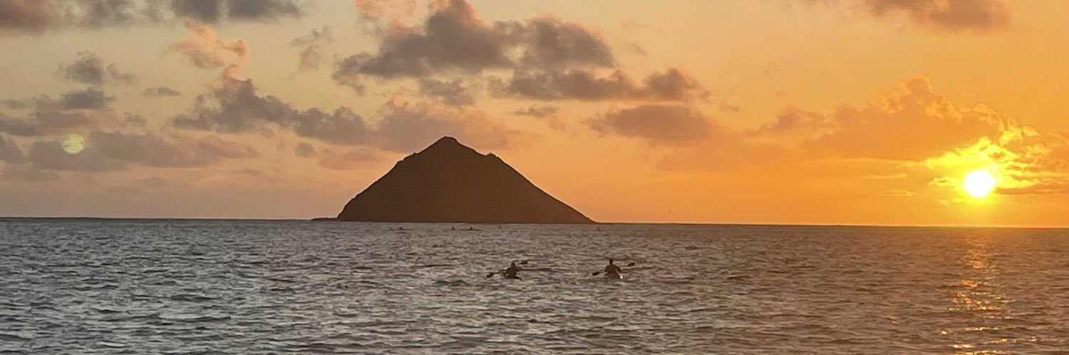 Jack Steinberg banner