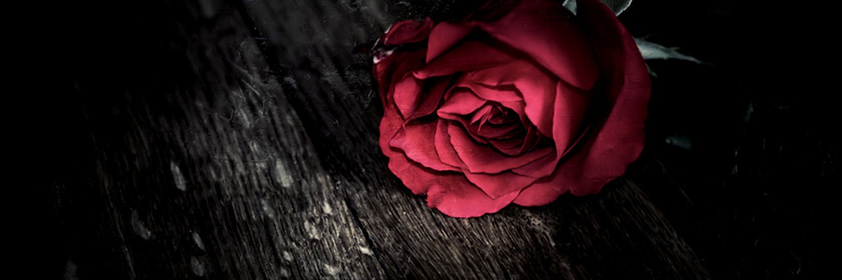 KimKze's profile banner image