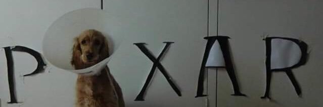 lachiaso's profile banner image