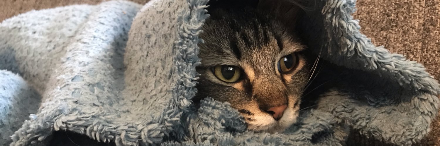 AmyHuff15's profile banner image