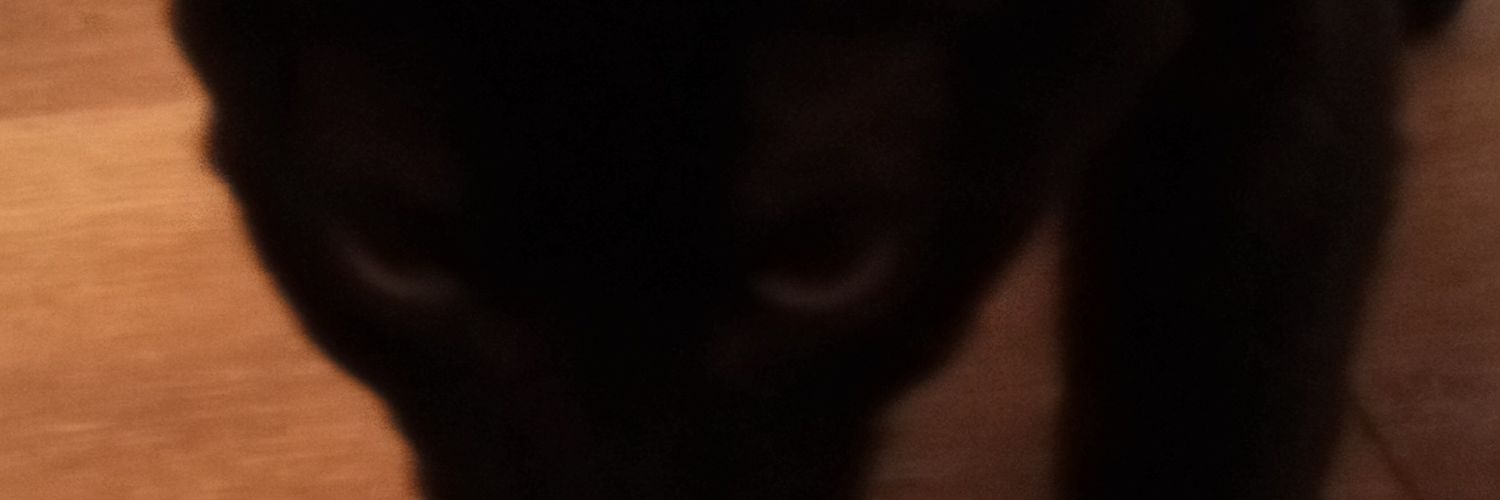 kylehaynes16's profile banner image