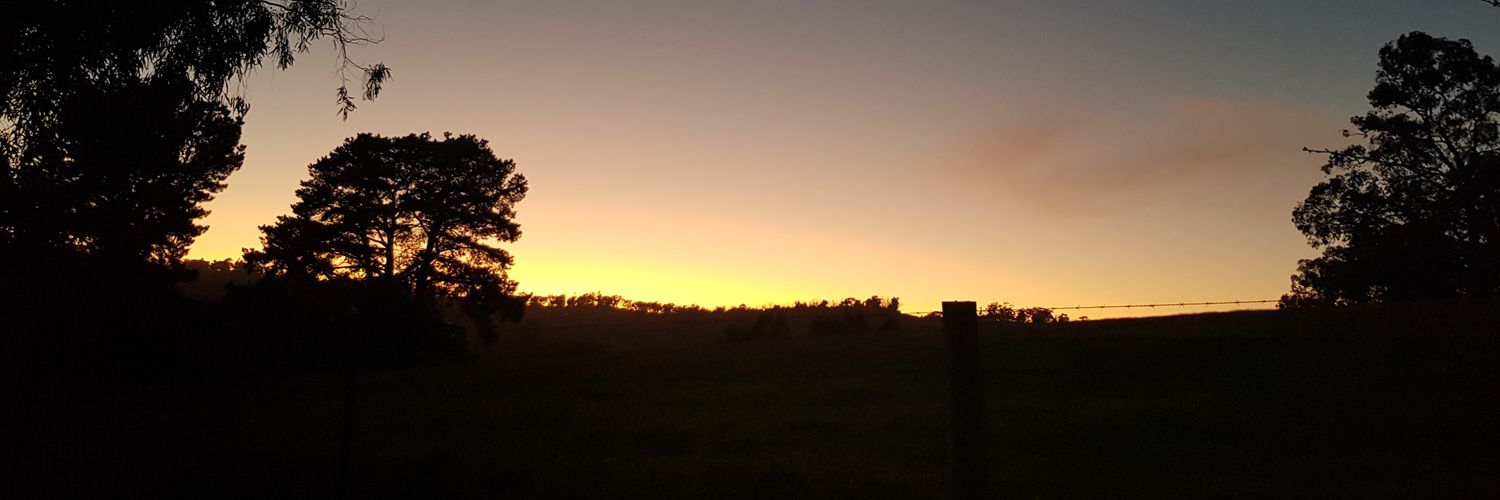 luvlea65's profile banner image