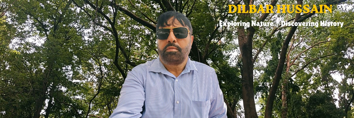 dilbar2011's profile banner image