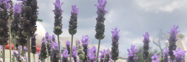 gab_icha Profile Banner