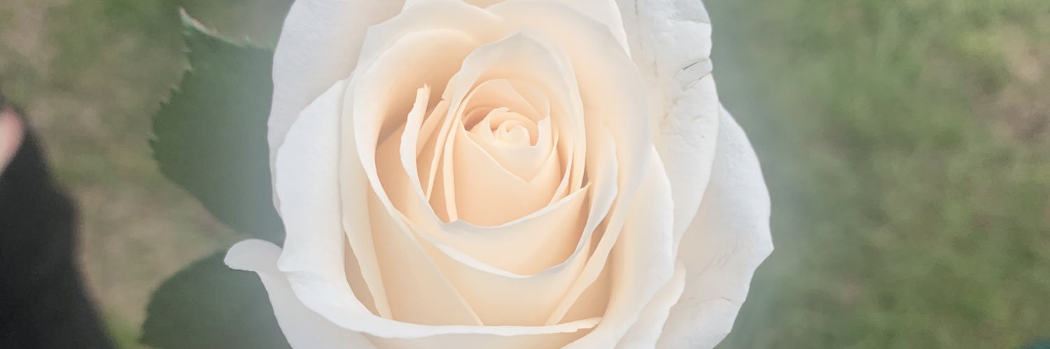 dgr0811's profile banner image