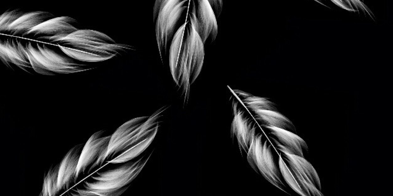 DaisyLaaTree's profile banner image
