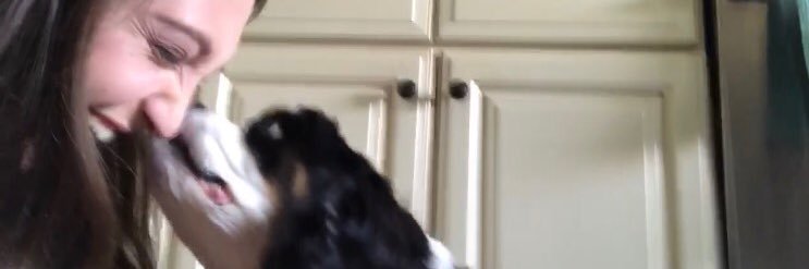 CourtneySchus's profile banner image