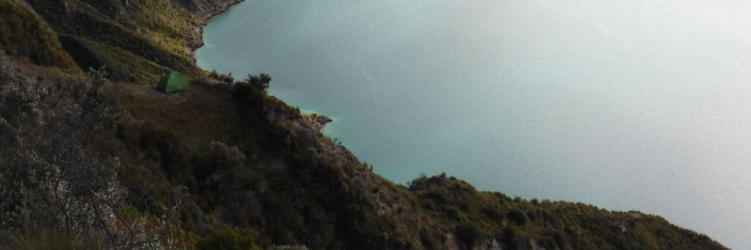 Alex Mesa banner