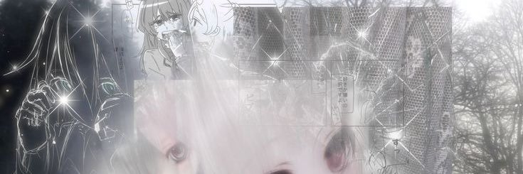 bnboncitop's profile banner image