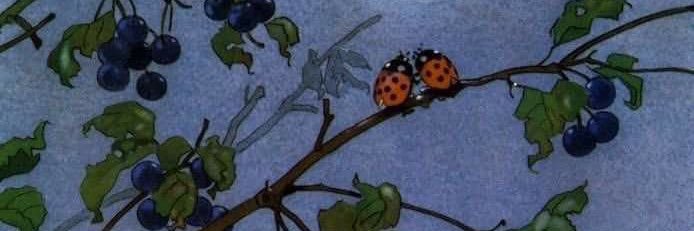 flordutraa's profile banner image