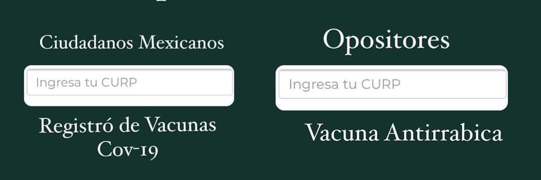 FlorDeGranada's profile banner image