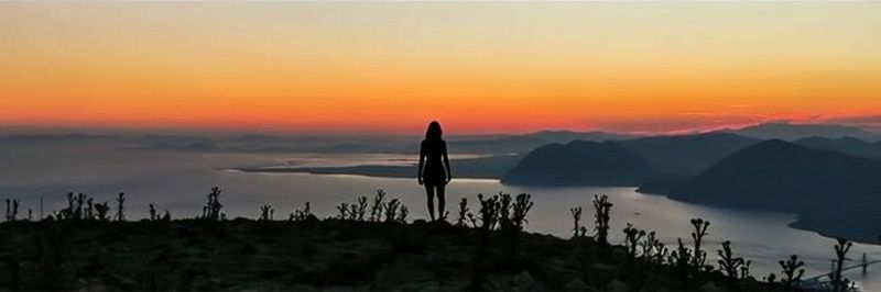 Petra's Story banner