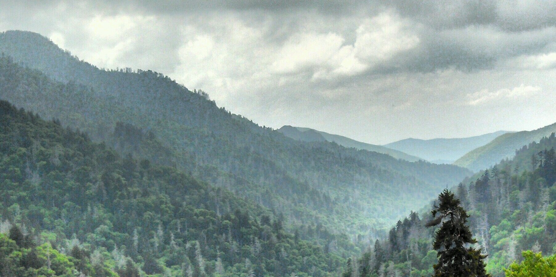 22Brown's profile banner image