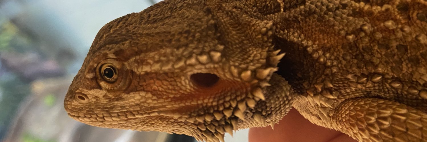 EvanCoffey_'s profile banner image