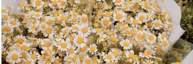 camilare_is's profile banner image