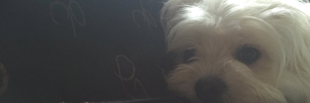 danekagill's profile banner image