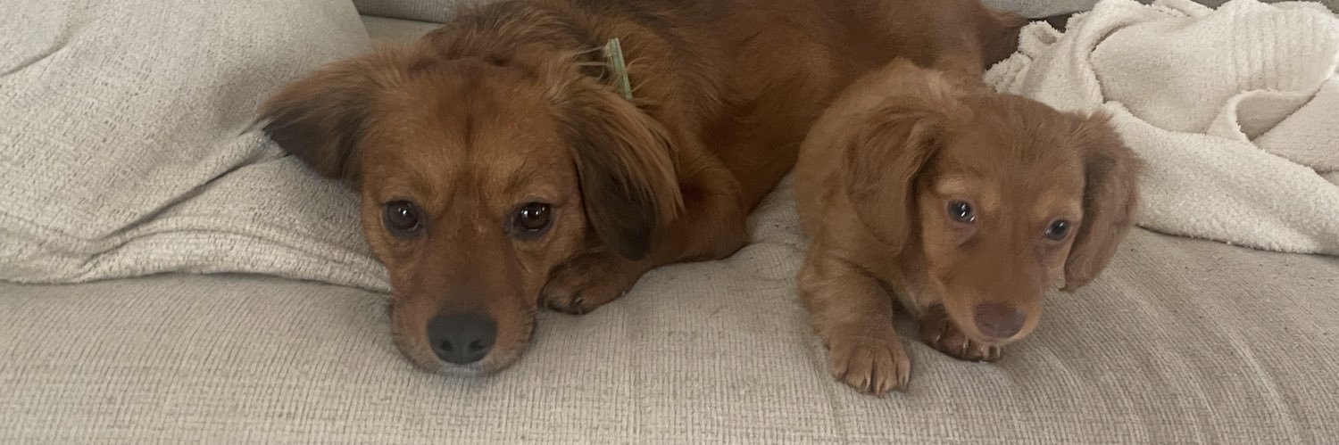 karleyjgraham's profile banner image