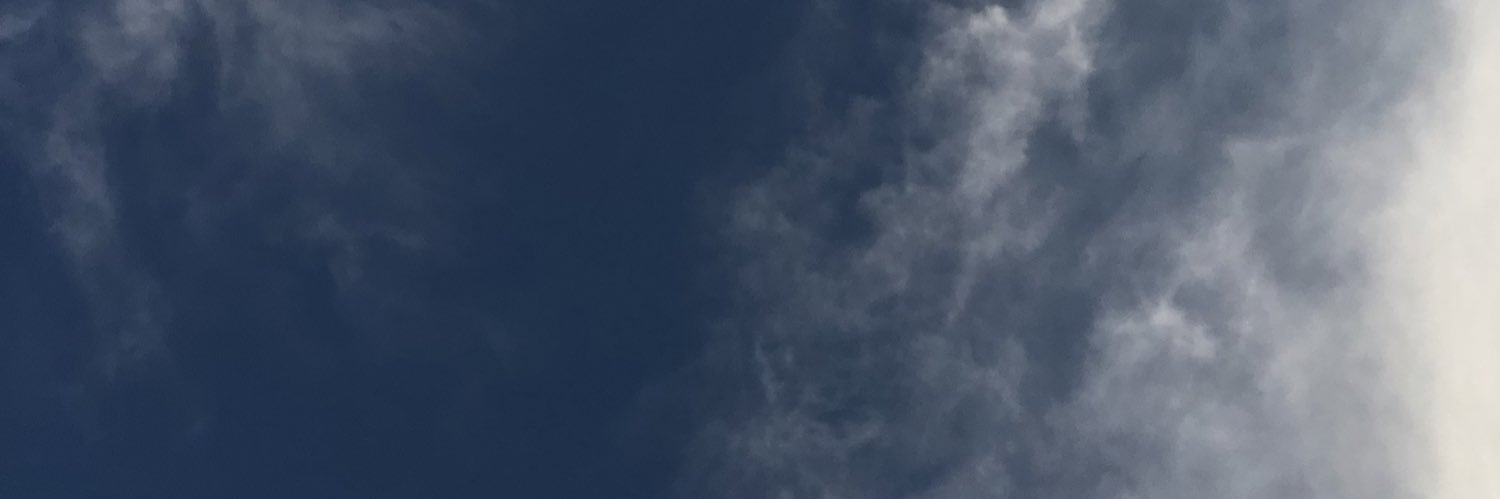 littlyara's profile banner image