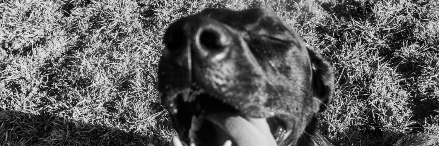 GunterTrae's profile banner image