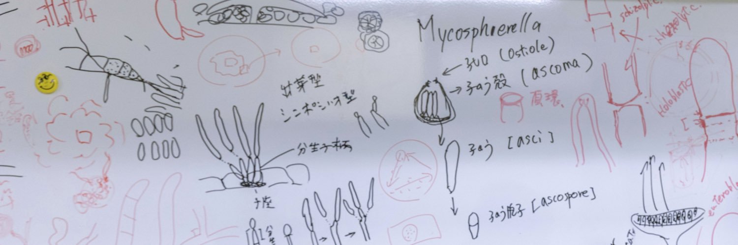 白水　貴's banner