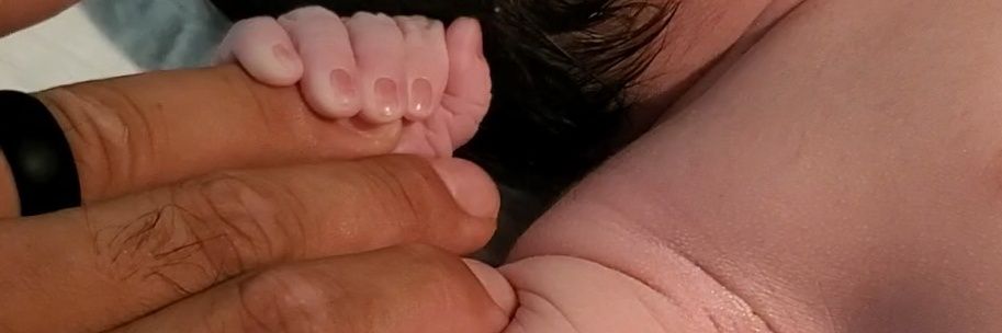 aly banner