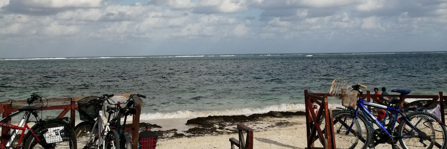 NPeniche's profile banner image