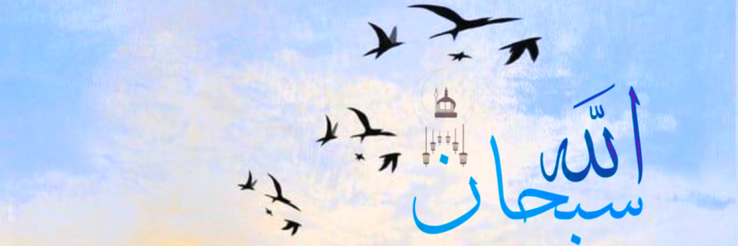 عثمان هادي هلال الديحاني banner