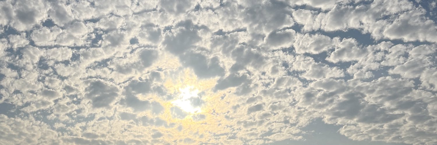 brgns__'s profile banner image