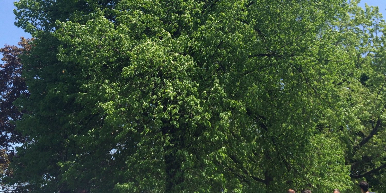 sydgoodfellow's profile banner image