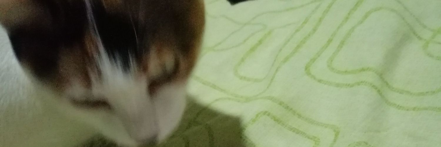yuliandrb's profile banner image