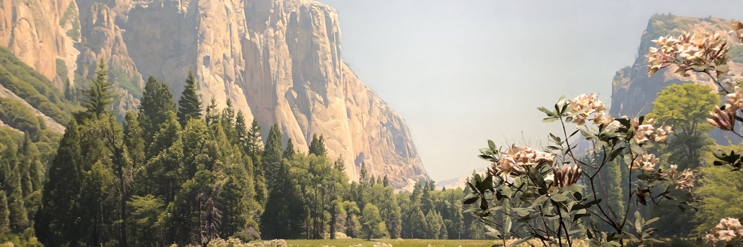 howdysara's profile banner image